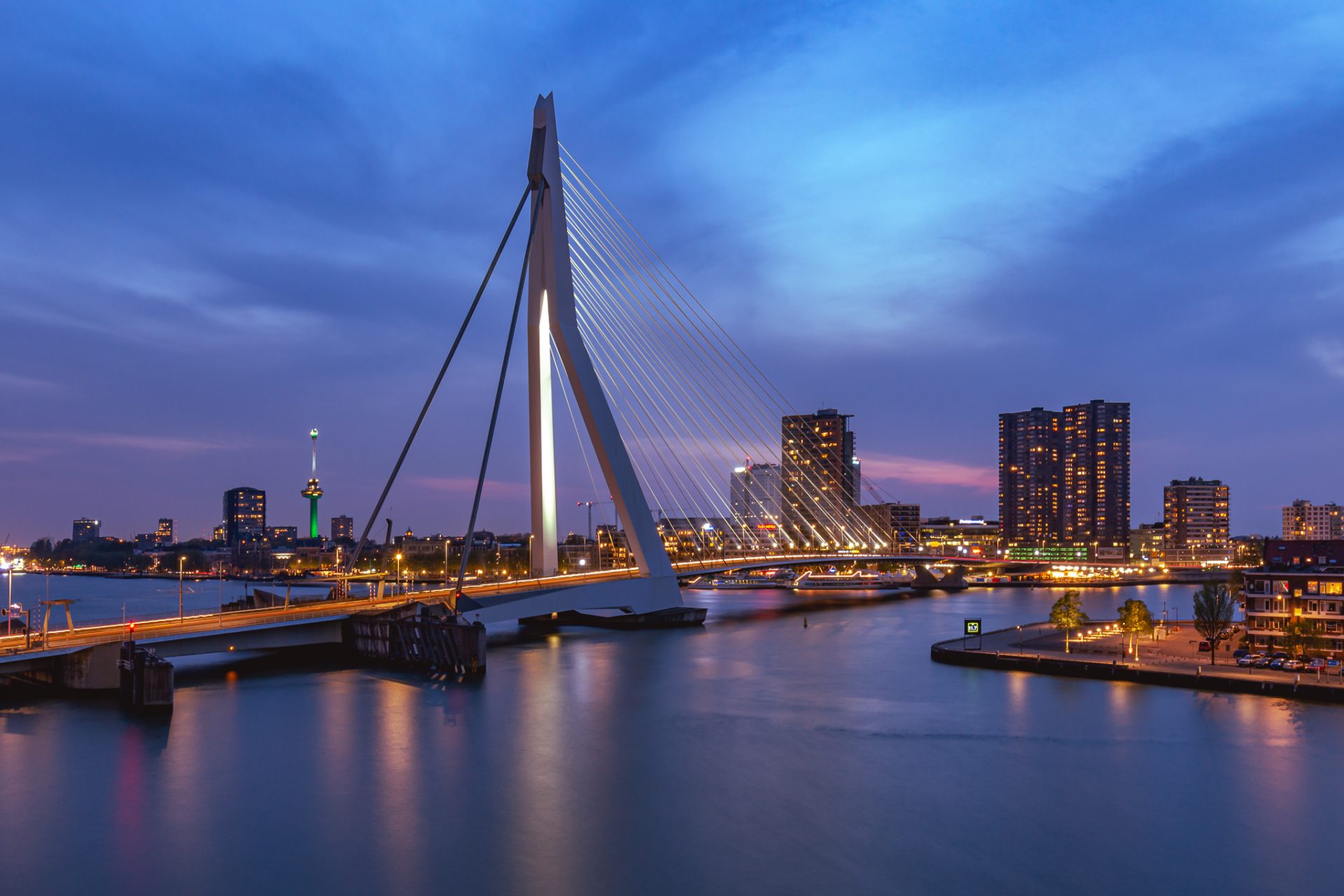 Uitzicht op de Erasmusbrug in Rotterdam