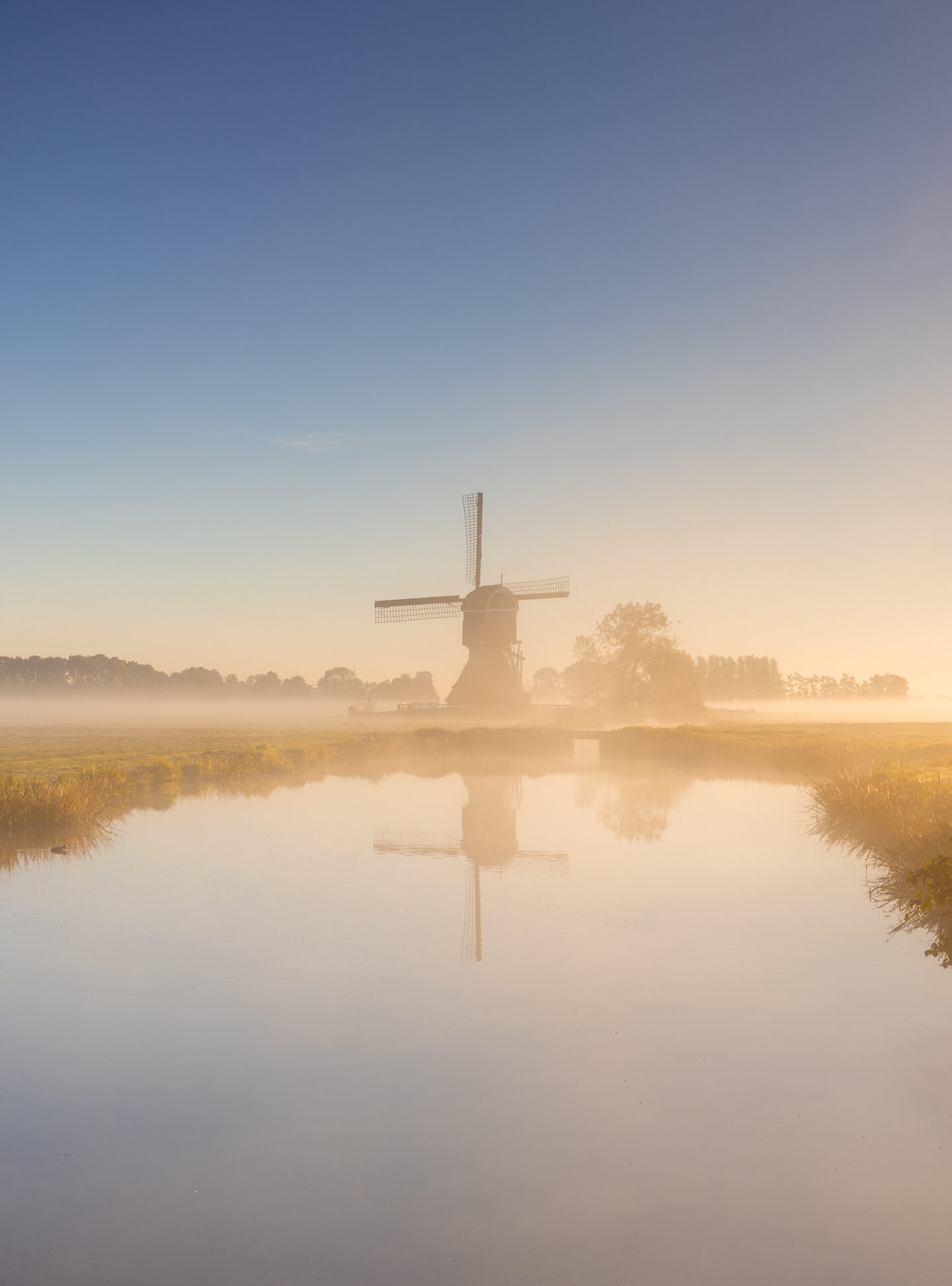 Ochtendglorie in de Nederlandse polder